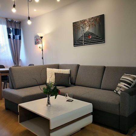 Appartamento Apartament Alfa Stary Toruń Esterno foto