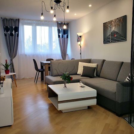 Appartamento Apartament Alfa Stary Toruń Esterno foto