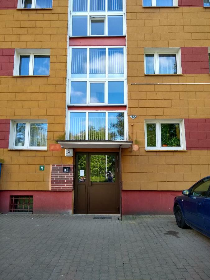 Appartamento Apartament Alfa Stary Toruń Esterno foto