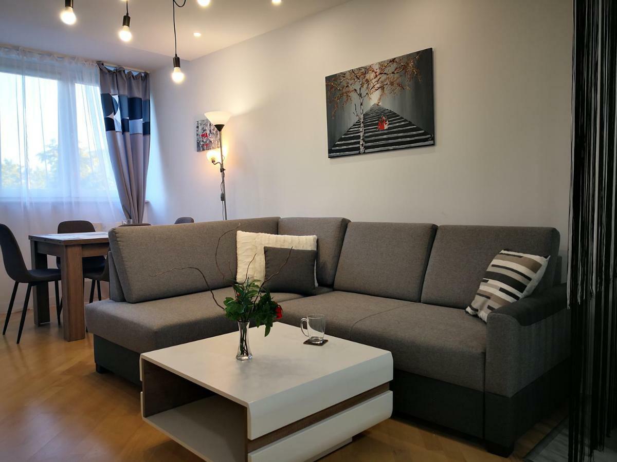 Appartamento Apartament Alfa Stary Toruń Esterno foto