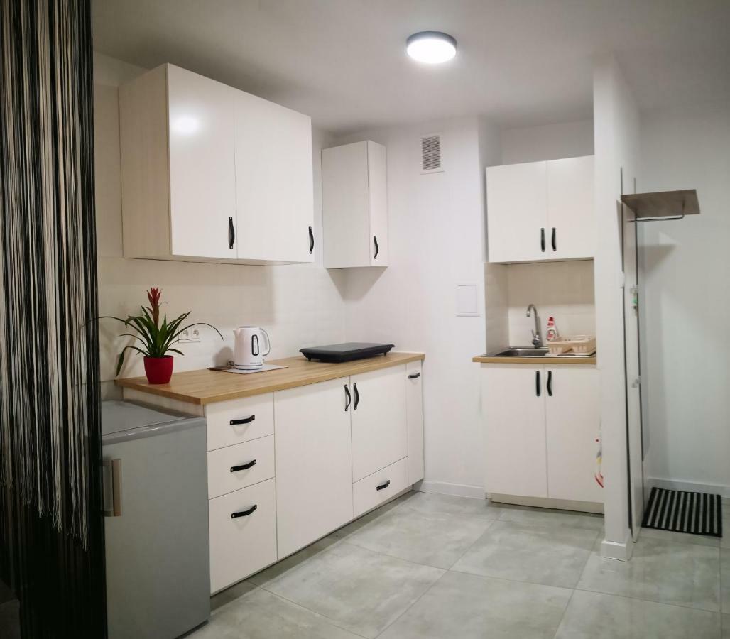 Appartamento Apartament Alfa Stary Toruń Esterno foto