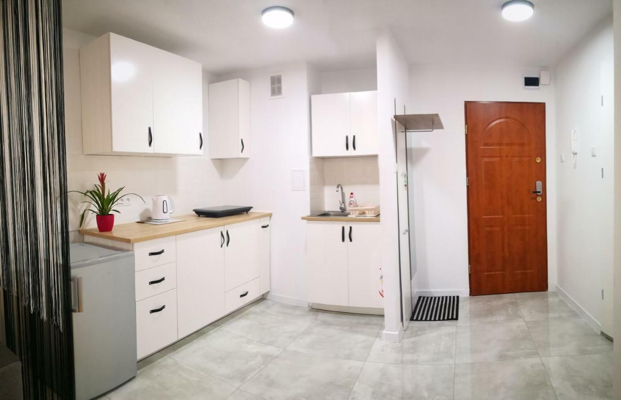 Appartamento Apartament Alfa Stary Toruń Esterno foto